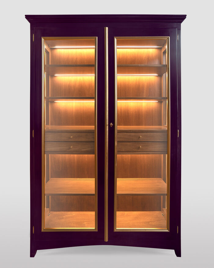 Dark Violet Cabinet with led lights