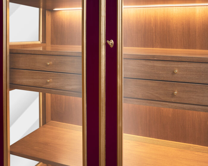 Wine Colored Cabinet with led lights